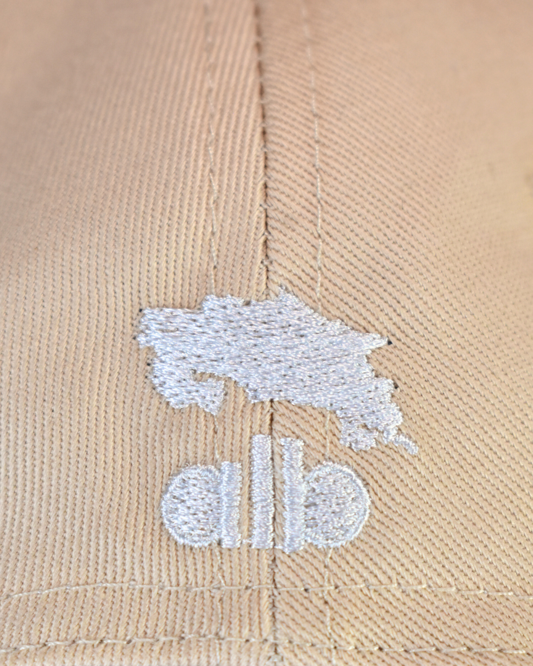 Concho Cap